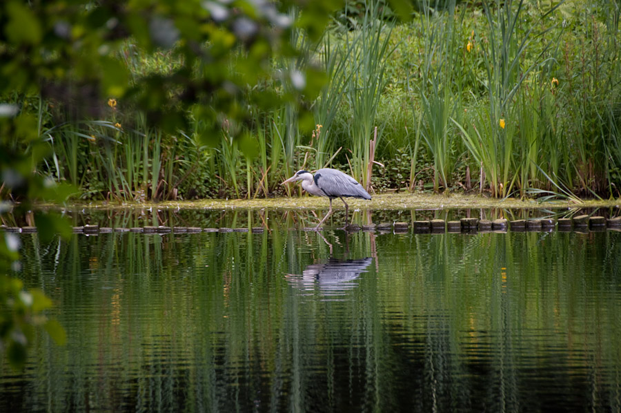 Berlin, Tiergarten...