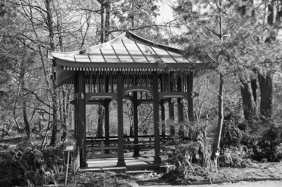 Berlin, Botanischer Garten...