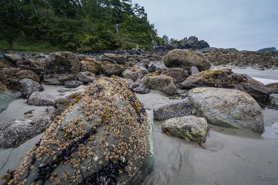 Vancouver Islands...