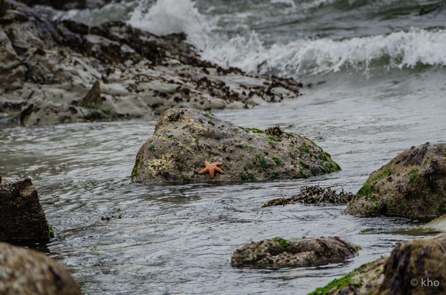 Tofino, Vancouver Islands...