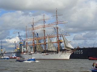 Segelschiff Sedov