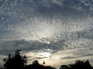 Am Morgen"