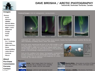 Dave Brosha
