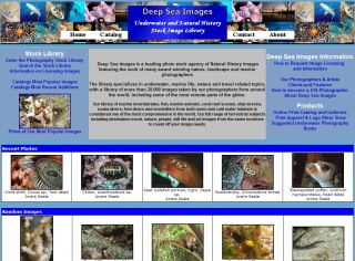 deep sea images