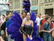 csd 2007_08