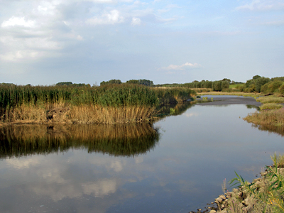 Elbe