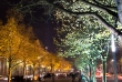Festival of lights 12