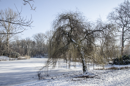 Berlin, Tiergarten Berlin, Tiergarten