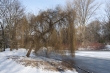 Berlin Tiergarten