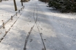 Berlin Tiergarten