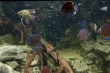 Aquarium Berlin