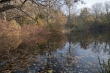 Berlin Tiergarten