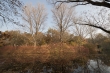 Berlin Tiergarten