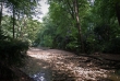 Tiergarten 05
