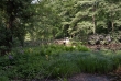 Tiergarten 05