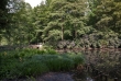 Tiergarten 07