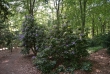 Tiergarten 02