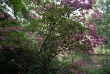 Tiergarten 01