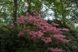 Tiergarten 03