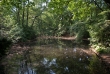 Tiergarten 08