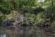 Tiergarten 04